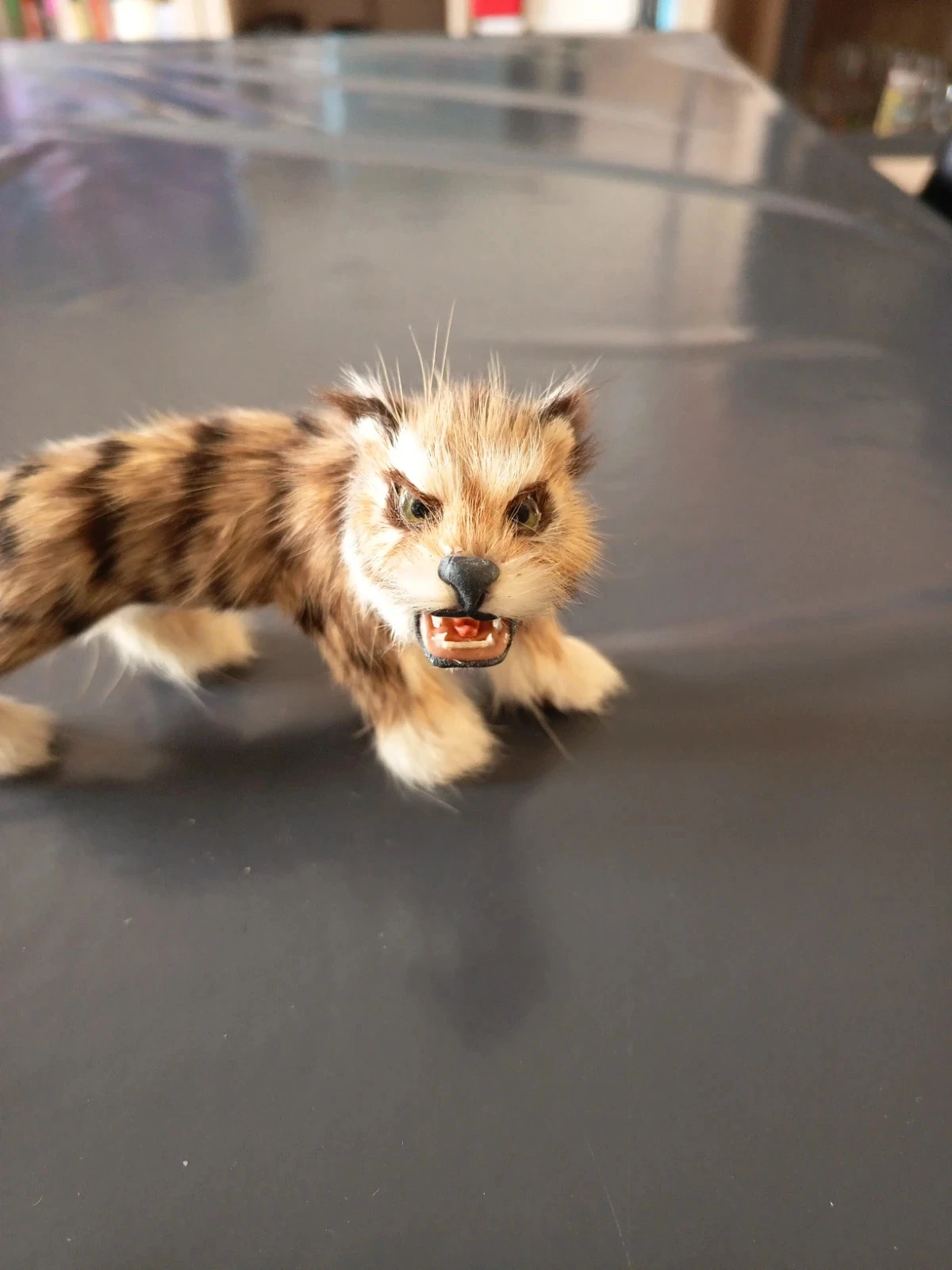 Tigre realista rugindo – photo 2
